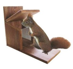 Eichhörnchenhaus kaufen